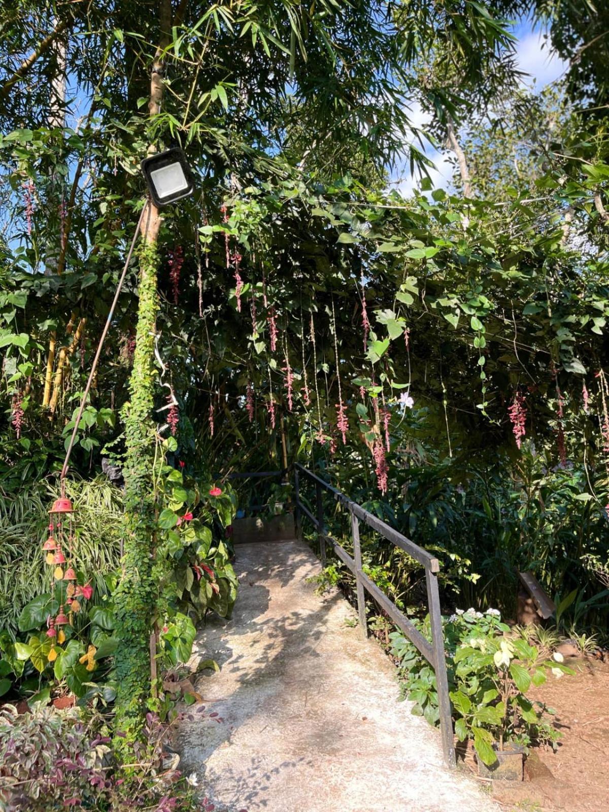 Villa Lush Acres Thekkady Exterior foto