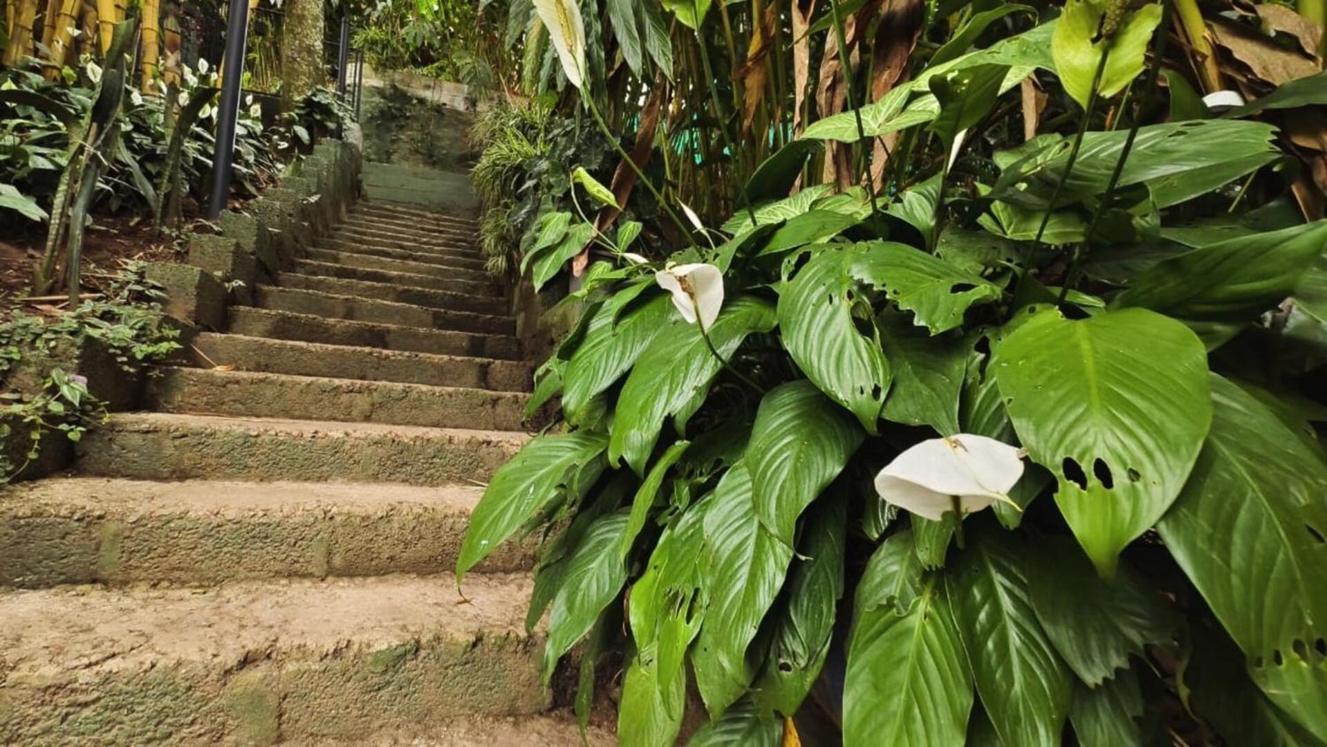 Villa Lush Acres Thekkady Exterior foto
